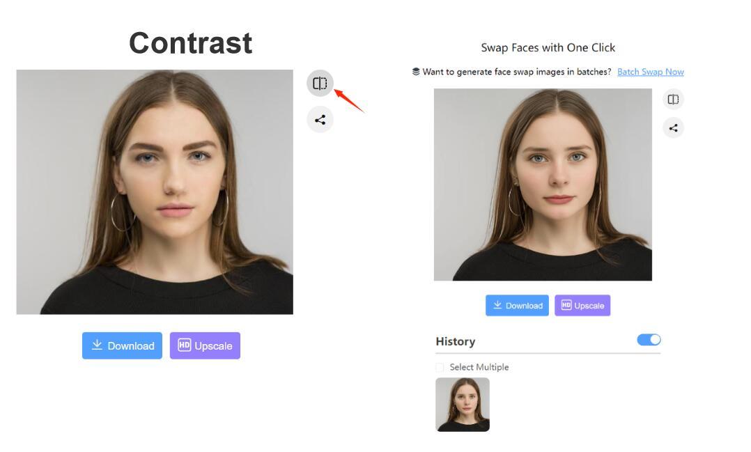 Steps to Put a Different Face on Another Picture with Remaker AI Faceswap - 4